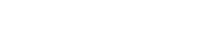 Steve Silver Company Logo
