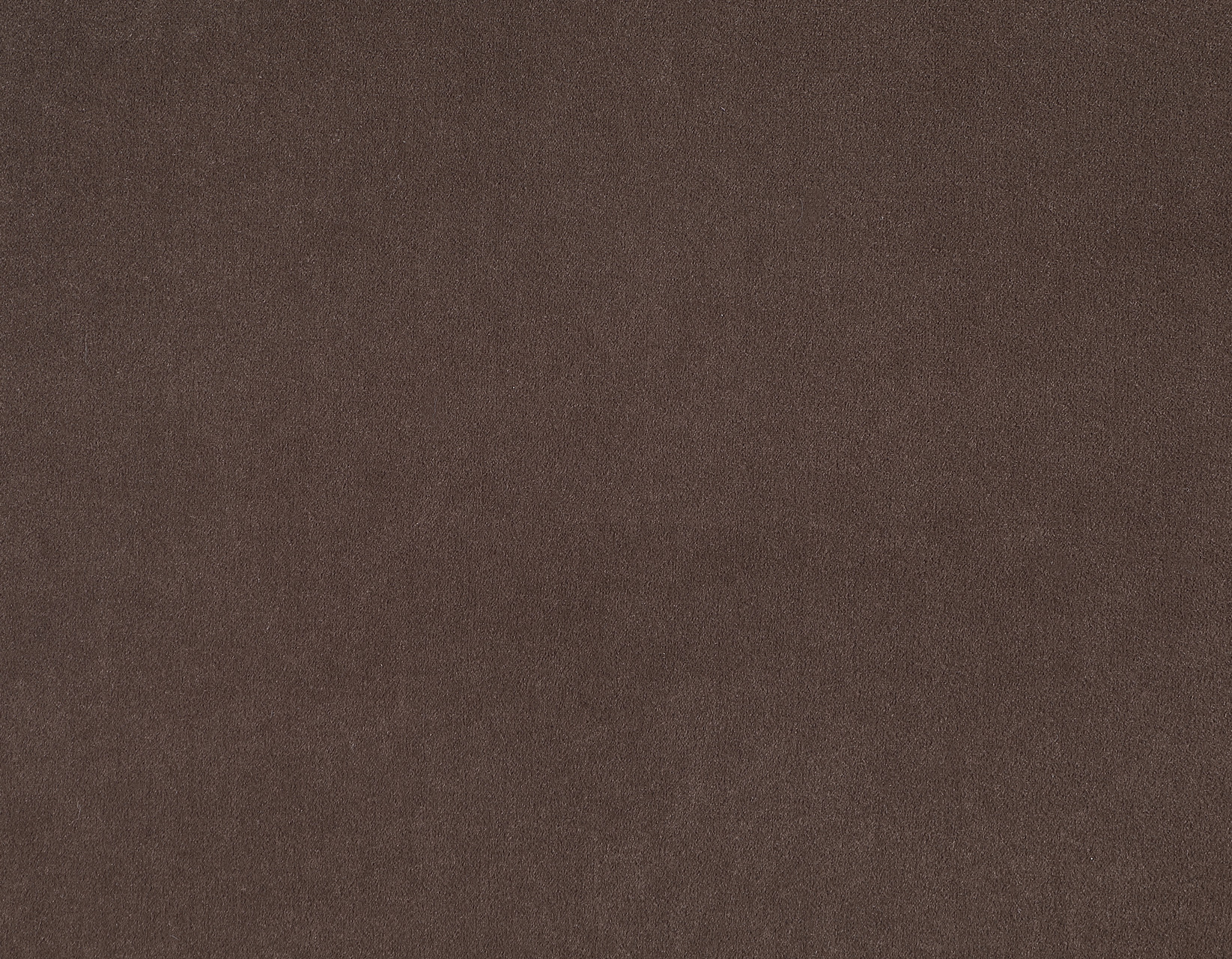 Annie Chocolate Velvet Barrel Chair w/Casters - Image 8